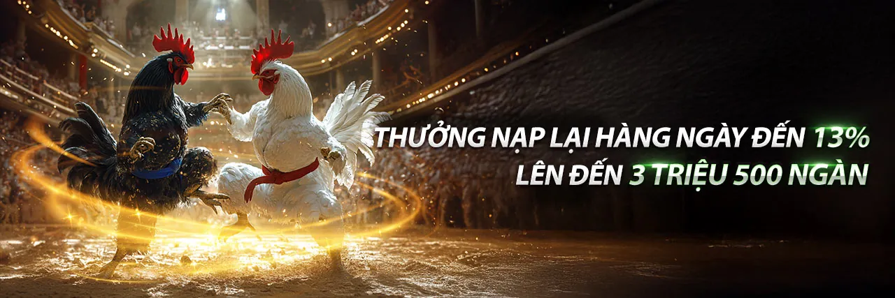 Sân đấu đá gà trực tuyến sôi động tại New88011